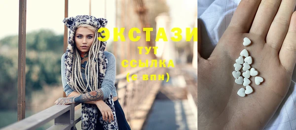 стаф Новокубанск