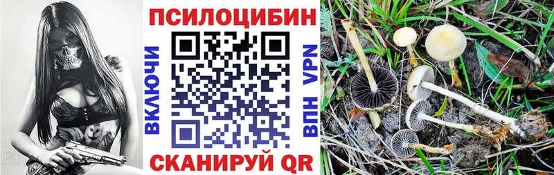 даркнет Telegram  хочу   Краснотурьинск  Псилоцибиновые грибы MAGIC MUSHROOMS 